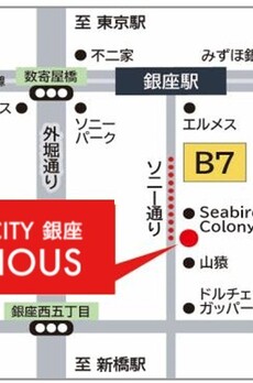 THE V-CITY 銀座 PRECIOUS 