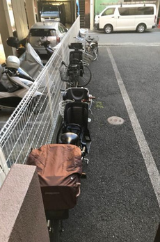 ラフィーネカワムラ 