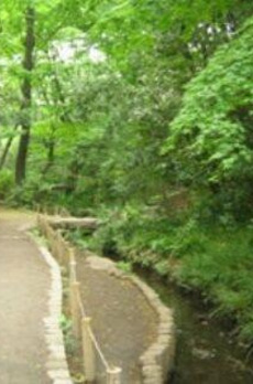 Ｔｈｅ　Ｗｅｌｌ　Ｍｅｊｉｒｏ 