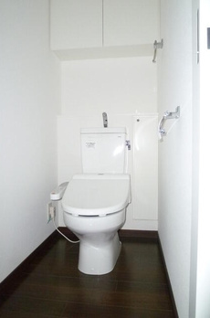ＤＯＲＦ２１　ＳＵＭＩＫＡ 