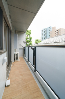 Ｔｈｅ　Ｖｅｒｌｕｘ　Ｔａｋａｎａｗａ 