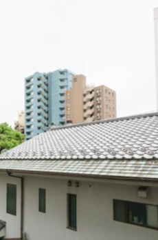 Ｔｈｅ　Ｖｅｒｌｕｘ　Ｔａｋａｎａｗａ 