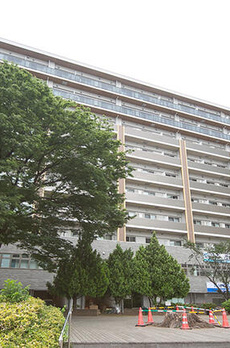 ステラテラス 