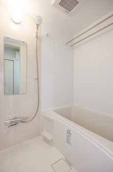 ステラテラス 
