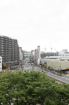 ステラテラス 