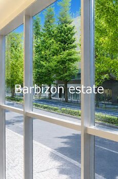 Barbizon100 