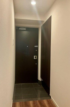 プレシス東京湊　ＴＨＥ　ＲＥＳＩＤＥＮＣＥ 