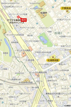 フェリーチェ松濤 