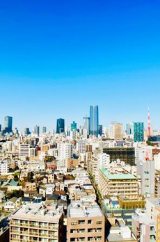 白金ザ・スカイ西棟 