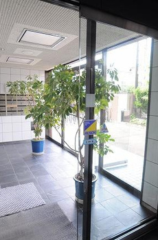 メゾンエル桜新町 