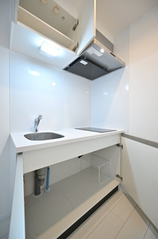 Ｔｈｅ　Ｒｅｓｉｄｅｎｃｅ　Ｎｉｈｏｎｂａｓｈｉ 