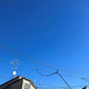 久が原戸建 