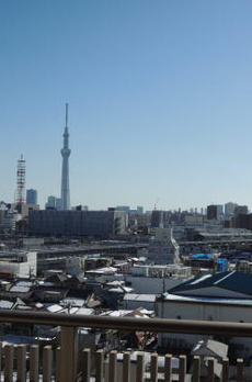 コスモシティ東京イースト 