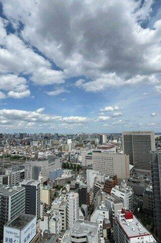 シティタワー大井町 