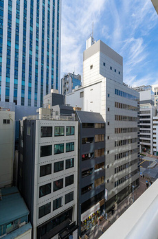 ミレアコート銀座プレミア 