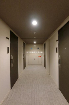ＭＯＤＩＥＲ　ＢＵＮＫＹＯ　ＫＯＩＳＨＩＫＡＷＡ 