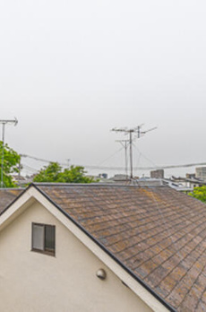 ＡＩＦＬＡＴ　ＭＥＪＩＲＯ 