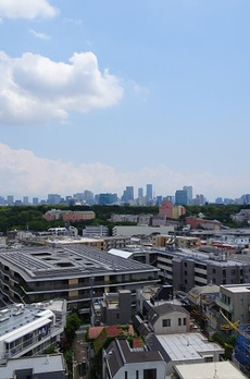 100㎡超え大型マンション 