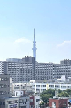 ライオンズステーションプラザ大島 