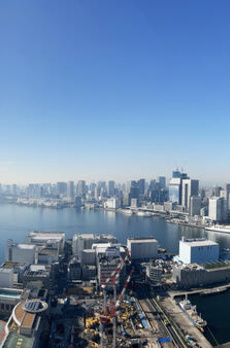 ザ・東京タワーズミッドタワー 
