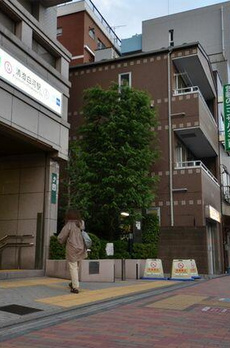 ハイツ日本橋中洲 