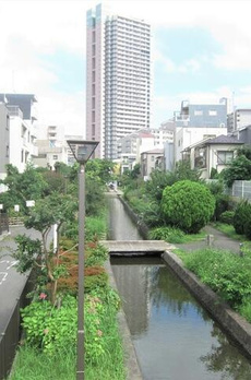 越中島三丁目ハイツ１号棟 