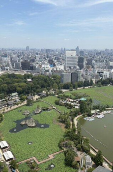 ルネッサンスタワー上野池之端 