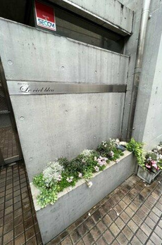 ル・シェルブルー 