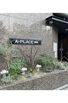 Ａ－ＰＬＡＣＥ新橋 