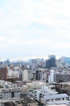 河田町ガーデン１号棟 