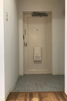 アモー等々力 