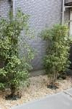 ヴィル・リジエールⅡ 