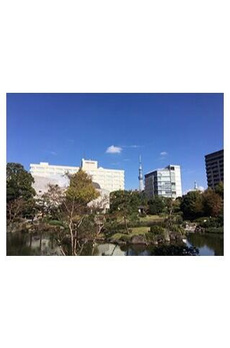 ワイズ柳橋 