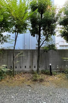 コンフォート文京小石川 