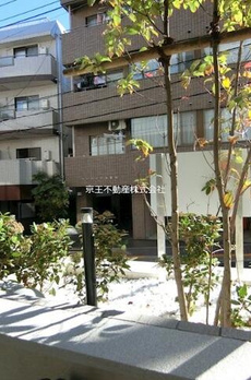 ＭＯＤＩＥＲ　ＢＵＮＫＹＯ　ＫＯＩＳＨＩＫＡＷＡ 