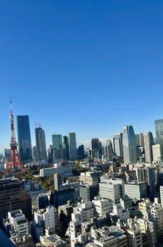 ＷＯＲＬＤ　ＴＯＷＥＲ　ＲＥＳＩＤＥＮＣＥ 