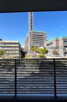 ＭＡＩＴＲＩ　ＹＯＴＳＵＹＡ 
