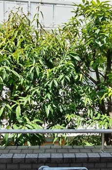 ウエルカーサ東中野 