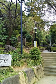 レジデンス代官山 