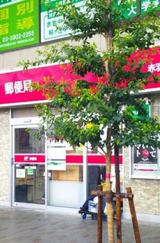 レジェンダリーコート赤羽 