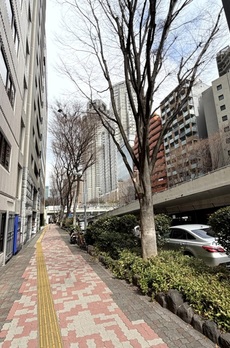 第12大協ビル 
