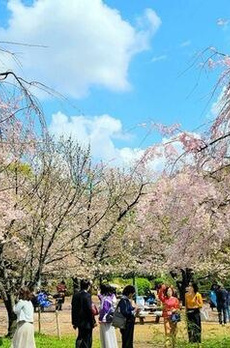 オークルーム日本橋浜町 