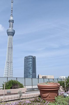 フルーヴ押上 
