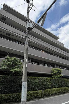 コスモ学芸大学 