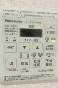 モンステラ 