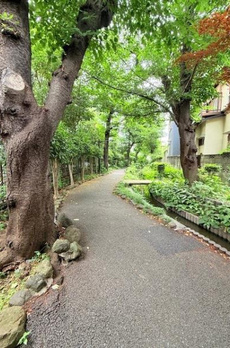 Ｓｏｌａｓｔ　Ｓｑｕａｒｅ綾瀬 