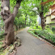 Ｓｏｌａｓｔ　Ｓｑｕａｒｅ綾瀬 