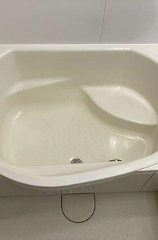 アデニウム千歳烏山 