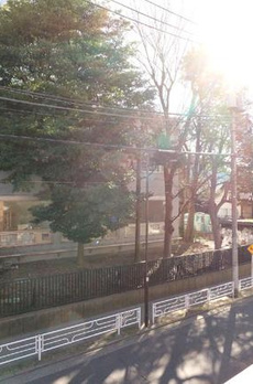秋桜館 