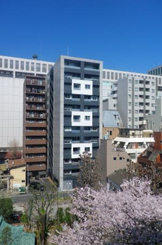 コンフォリア新川 